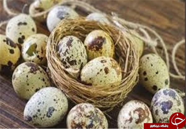 مدیریت بحران  تخم&zwnj;مرغی