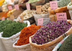 اردبیل بهشت گیاهان دارویی