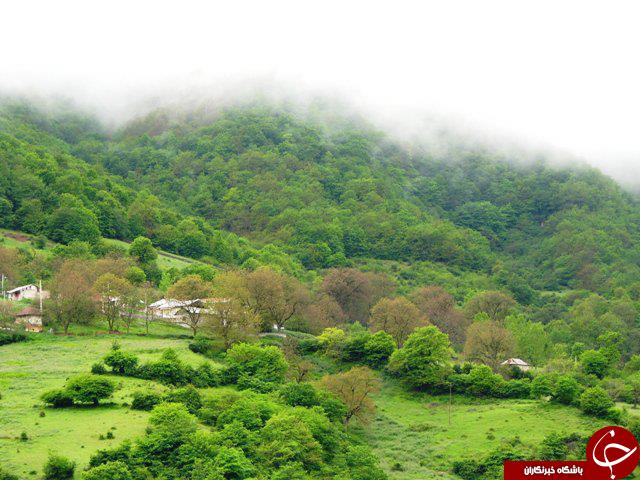 نمایی از طبیعت بکر و دیدنی در «زیرآب» + تصاویر نمایی از طبیعت بکر و دیدنی در «زیرآب» + تصاویر