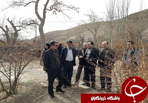 شهرستان درمیان،میزبان رییس سازمان حفظ نباتات کشور