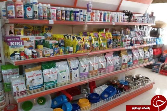 گشتی در بازار فروش مواد غذایی سگ و گربه/از قرص ضد استرس تا غذای ارگانیک ۷۵ هزارتومانی