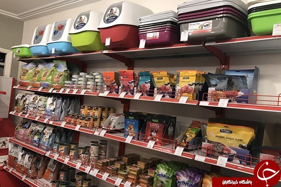 گشتی در بازار فروش مواد غذایی سگ و گربه/از قرص ضد استرس تا غذای ارگانیک ۷۵ هزارتومانی