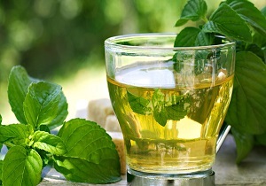 اکالیپتوس، گیاهی معجزه&zwnj;گر در درمان تب