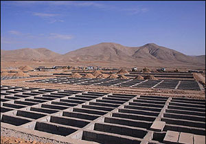 دستگاه‌های اجرایی برابر قانون نسبت به ساماندهی ارامستان اقدام کند