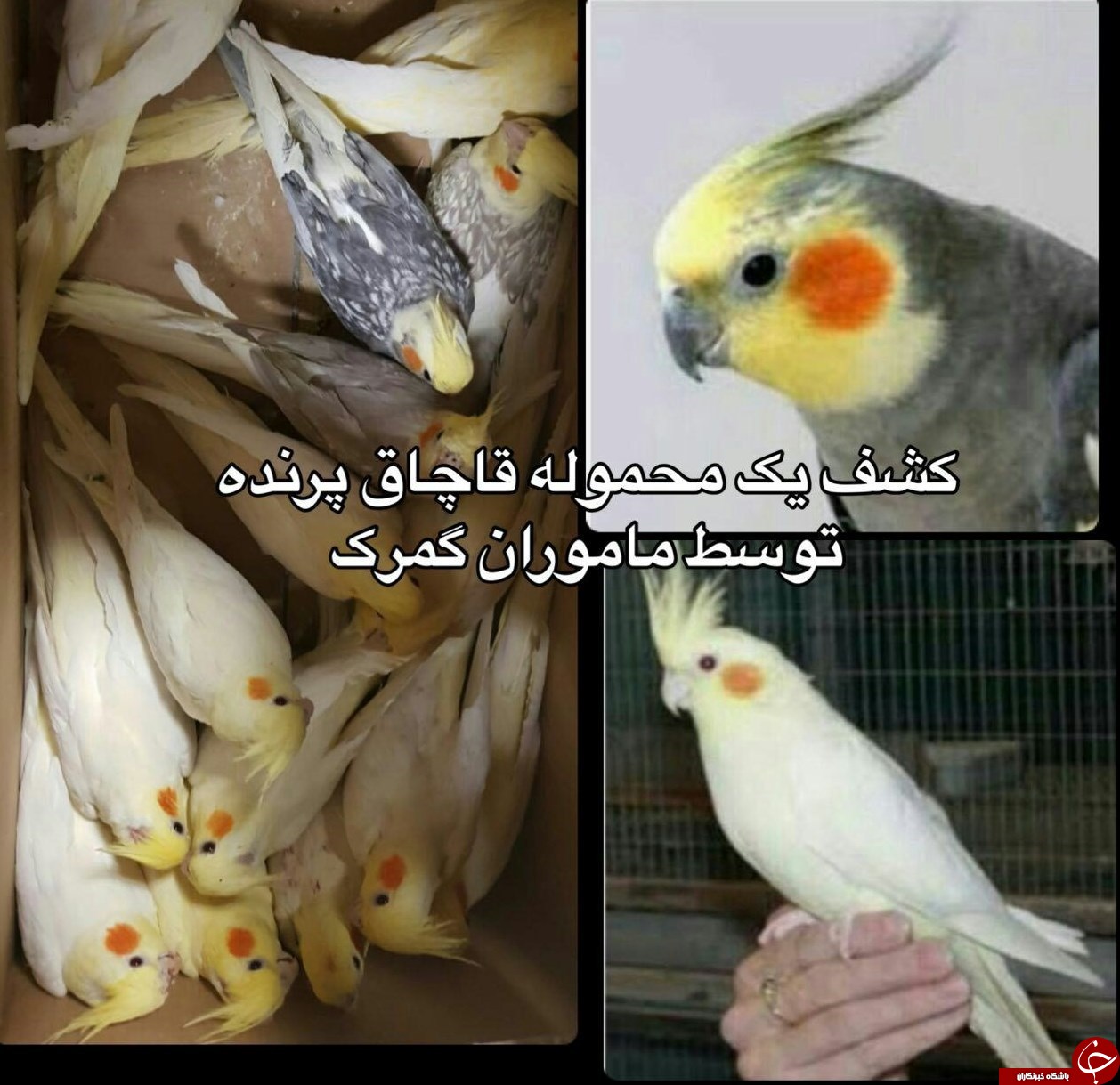 کشف 