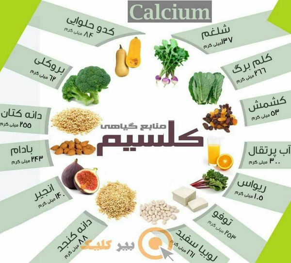 از منابع گیاهی کلسیم غافل نشوید + اینفوگرافی