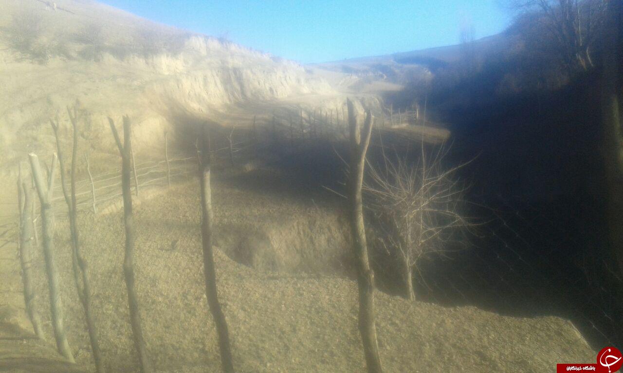 نابودی منابع طبیعی در &laquo;عرب لاله&zwnj;گون&raquo; + تصاویر