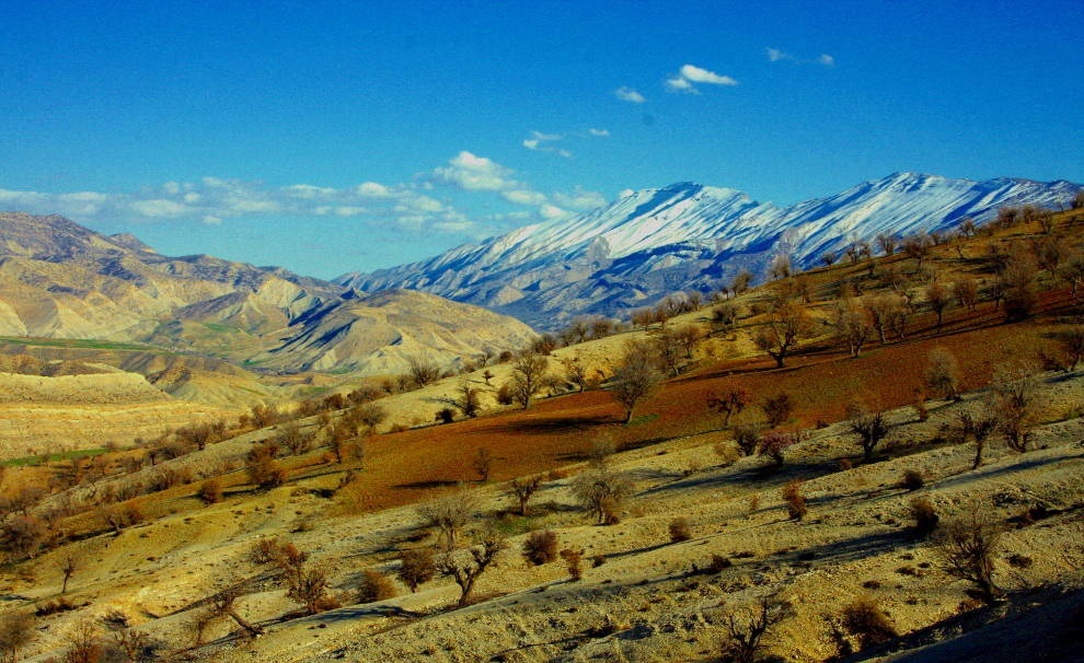 احیا و محفاظت از مراتع و عرصه های جنگلی کبیرکوه