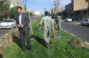 دور اندیشی ساوه ای‌ها برای استقبال از بهار