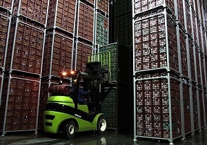 ذخیره سازی ۶۰۰ هزار تن سیب در سردخانه&zwnj;های آذربایجان&zwnj;غربی
