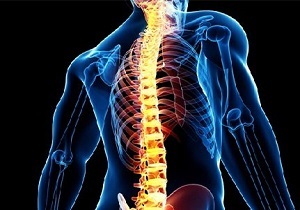 ضرورت ایجاد گرایش فیزیوتراپی ستون فقرات در نظام سلامت/ درگیری یک سوم مردم با مشکلات اسکلتی عضلانی