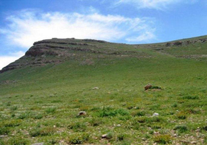 محکومیت متصرف اراضی ملی به گشت زنی و حفاظت از زمین‌های ملی