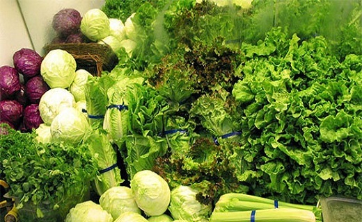 باکتری&zwnj;هایی برای سلامتی/پیشگیری از زوال عقل با مصرف سبزیجات/ماده غذایی موثر در رشد عقلی کودکان/پیامدهای یک کفش نامناسب&nbsp;
