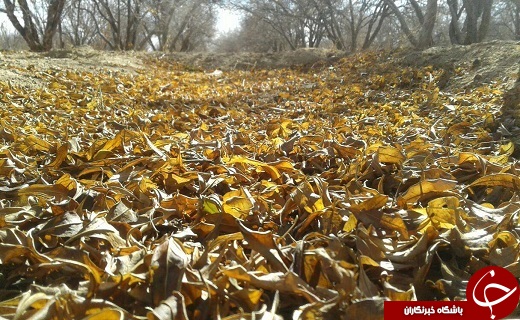 طبیعت زیبای رودخور در قاب دوربین + تصاویر
