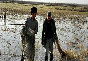 تخریب ۴ هزار متر دام هوایی در ساری