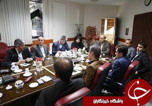 ۲۰ درصد از تخم مرغ‌های تولیدی، روزانه روانه بازار می‌شود