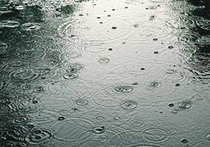 بارندگی در همدان 42 درصد کاهش داشته است