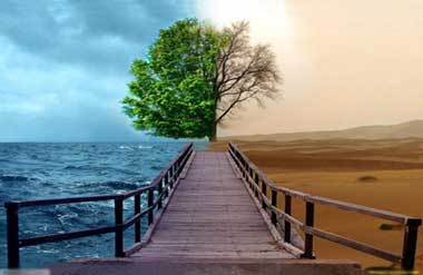 چه کسانی در قیامت حسرت نخواهند خورد؟
