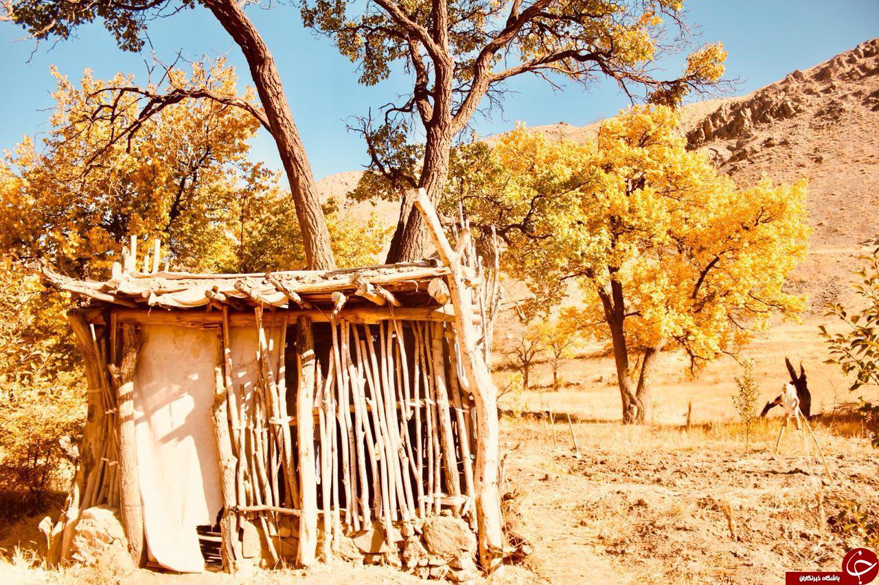 طبیعت بی&zwnj;نظیر زیبای بلوبین در قاب دوربین + تصاویر