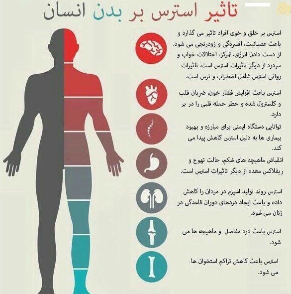 تأثیری که استرس روی بدن افراد می&zwnj;گذارد+اینفوگرافیک