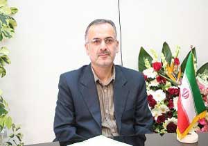 باغ‌های متروکه چای شمال احیا شد
