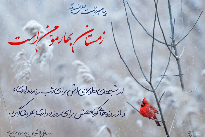زمستان برای چه کسی بهار است؟