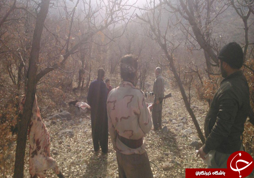 دستگیری شکارچیان گراز در دو شهرستان لرستان