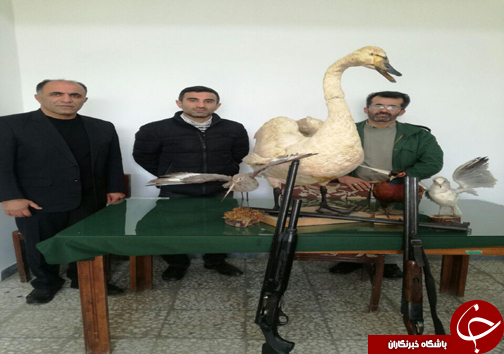۱۳ شکارچی غیرمجاز در دام ماموران محیط زیست مازندران+ تصاویر
