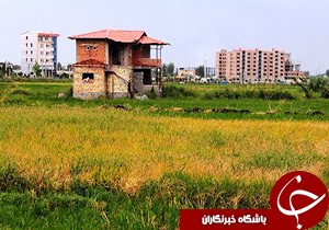 صدور ۸۸ رای قلع و قمع بنا در زمین‌های کشاورزی صادر شد