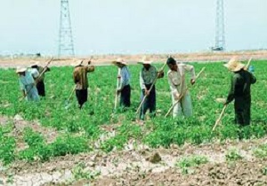 ثبت ملی میراث کشاورزی قصرقند
