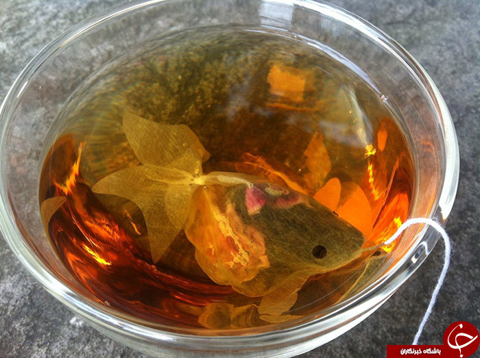 بسته بندی جالب که خلاقیت در آن ها موج می زند