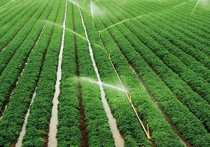 اعتبار ۱۴ میلیارد تومانی برای آبیاری تحت فشار  نهاوند