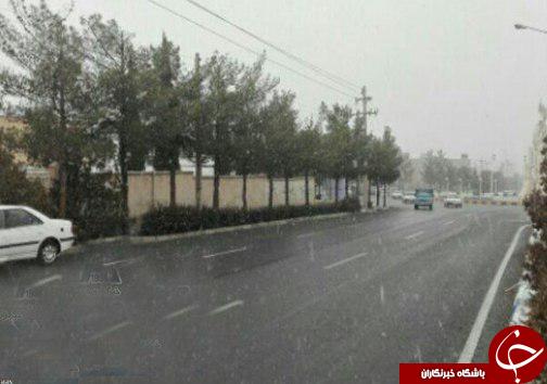 برف پیش بینی نشده در بیرجند+عکس