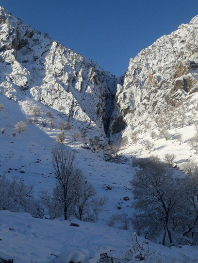 تصویر از دره شیخ عالی بازفت