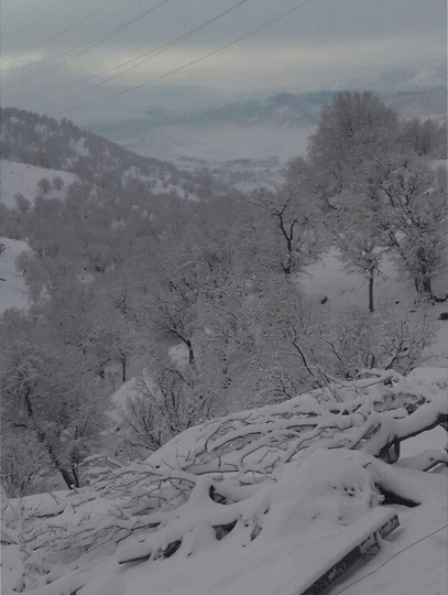 تصویر از دره شیخ عالی بازفت