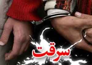 دستگیری سارقان حرفه ایی منازل در پیرانشهر