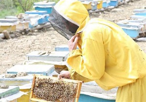 مددجويان اردبيلی از 20 ميليارد تومان تسهيلات اشتغال‌زايی بهره‌مند شدند