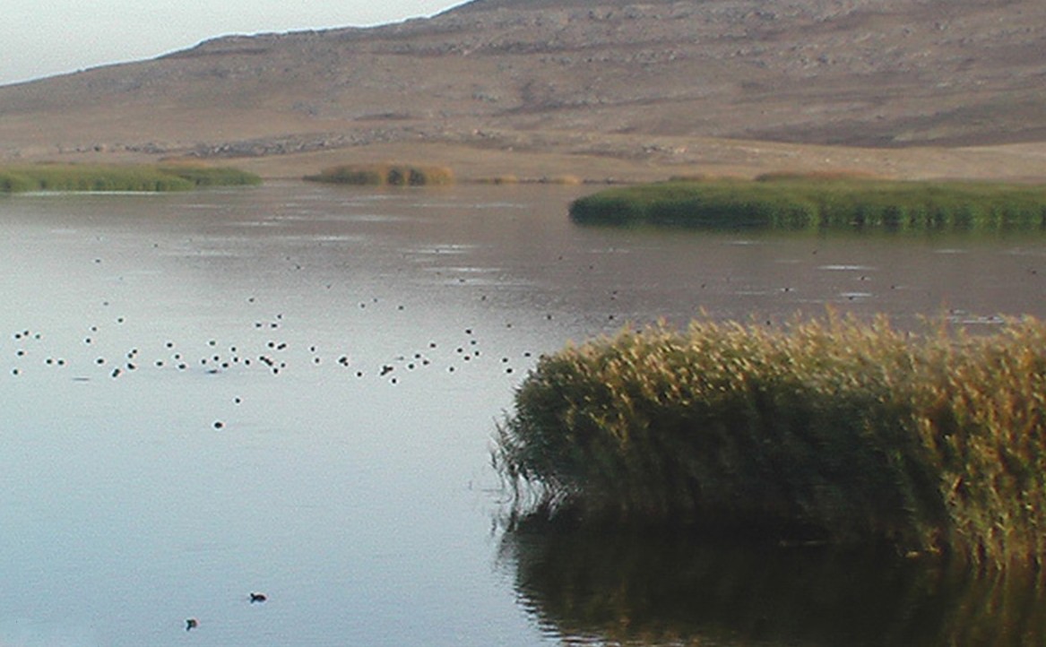 توجه به پیوند شهر و تالاب ها در روز جهانی تالاب ها
