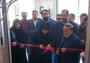 افتتاح نمایشگاه هنری بانوان کارآفرین در شاهین‌شهر