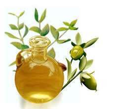 از خواص شگفت&zwnj;انگیز روغن جوجوبا  چه می&zwnj;دانید؟