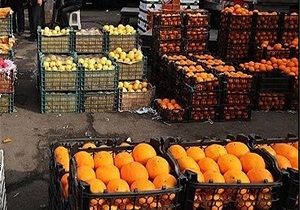 ذخیره یک هزارو ۵۰۰ تن میوه شب عید در قزوین