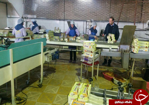 جوان کارآفرین لرستانی تولید کننده انواع کیک وبیسکویت/ کارآفرینی با طعم شیرین تولید واشتغال+تصاویر