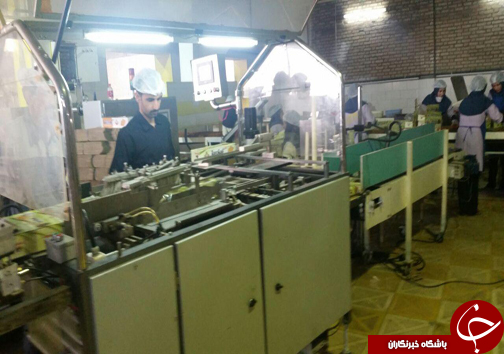 جوان کارآفرین لرستانی تولید کننده انواع کیک وبیسکویت/ کارآفرینی با طعم شیرین تولید واشتغال+تصاویر