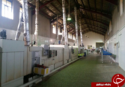 جوان کارآفرین لرستانی تولید کننده انواع کیک وبیسکویت/ کارآفرینی با طعم شیرین تولید واشتغال+تصاویر
