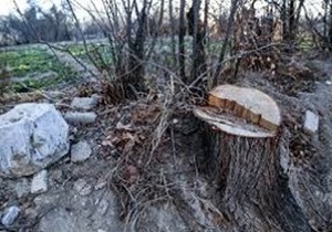 سارقان تنه درختان گردو در قم به دام افتادند