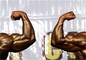 کسب یک نشان طلا توسط نماینده خراسان جنوبی در رقابت های کشوری