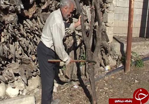 از بخاری&zwnj; های هیزمی تا گازرسانی به دورترین روستا