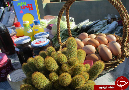برگزاری جشنوراه غذا در روستای سنگتی قائم شهر + تصاویر
