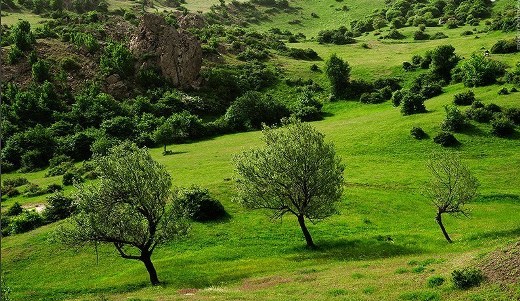 گیلان پیشگام در نهضت گاز رسانی