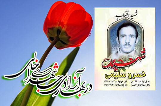 زندگی&lrm;نامه شهید انقلاب اسلامی؛ خسرو سلیمی ناغانی